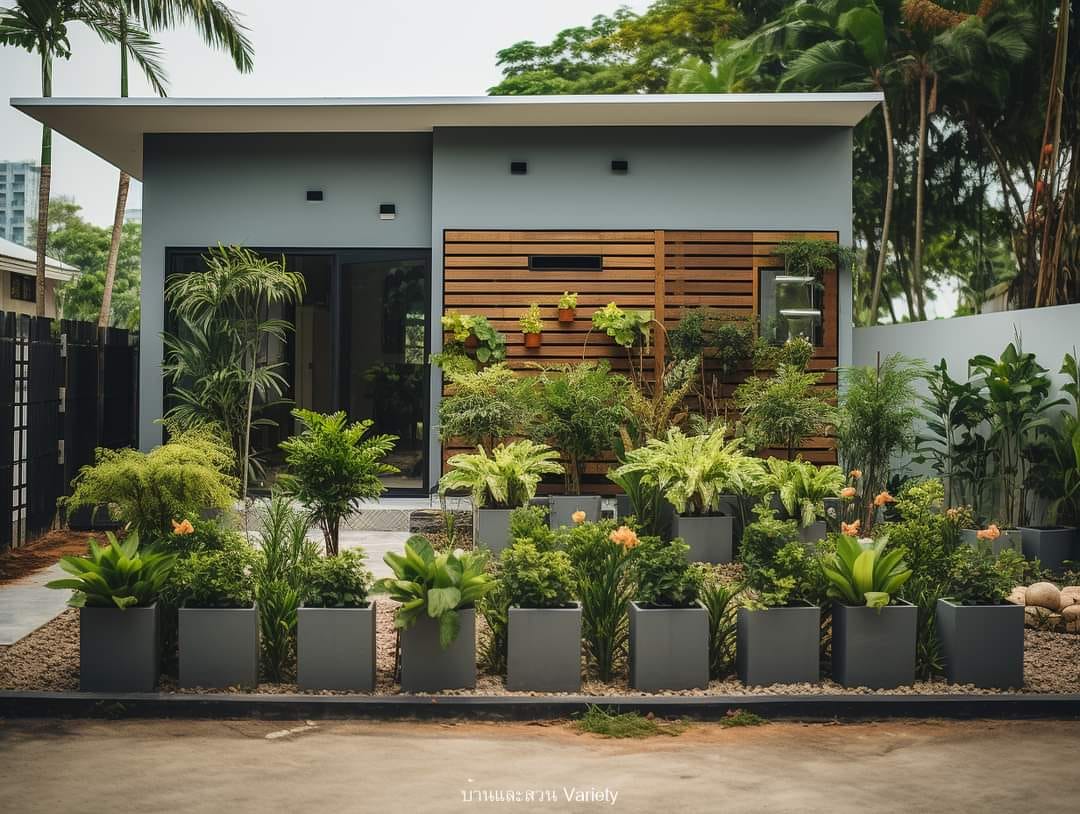 Thiết kế sân vườn trước nhà - zion's